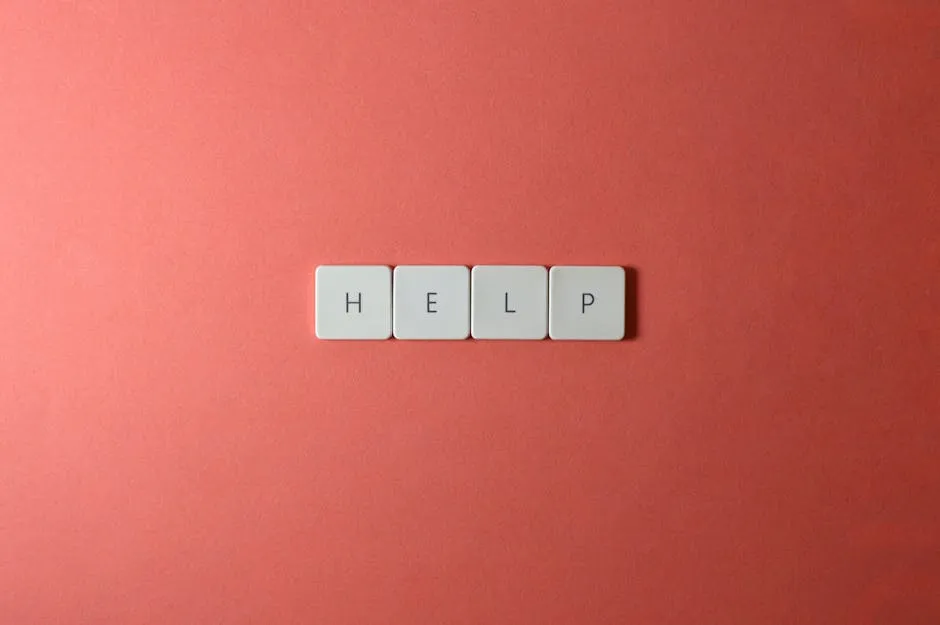 Article 13 cover image