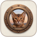 ClashFX v1.0.9 应用图标